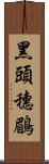 黑頭穗鶥 Scroll