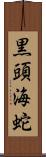 黒頭海蛇 Scroll