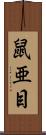 鼠亜目 Scroll