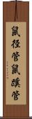 鼠径管 Scroll