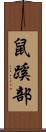 鼠蹊部 Scroll