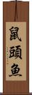 鼠頭魚 Scroll