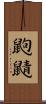 鼩鼱 Scroll