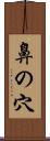 鼻の穴 Scroll