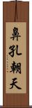 鼻孔朝天 Scroll