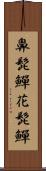 鼻髭鱓 Scroll