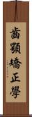 齒顎矯正學 Scroll