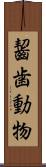 齧歯動物 Scroll