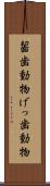 齧歯動物 Scroll