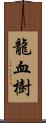 龍血樹 Scroll