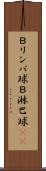 Ｂリンパ球 Scroll