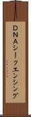 ＤＮＡシークエンシング Scroll