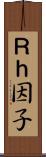 Ｒｈ因子 Scroll