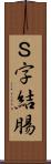 Ｓ字結腸 Scroll