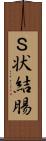 Ｓ状結腸 Scroll