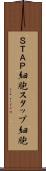 ＳＴＡＰ細胞 Scroll