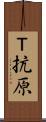 Ｔ抗原 Scroll