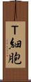 Ｔ細胞 Scroll