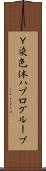 Ｙ染色体ハプログループ Scroll