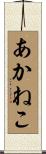 あかねこ Scroll