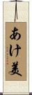 あけ美 Scroll