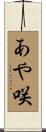 あや咲 Scroll