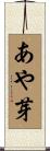 あや芽 Scroll