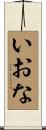 いおな Scroll