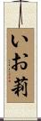 いお莉 Scroll