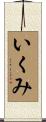 いくみ Scroll