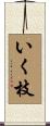 いく枝 Scroll