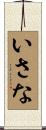 いさな Scroll