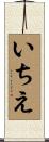 いちえ Scroll