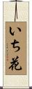 いち花 Scroll