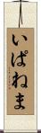 いぱねま Scroll