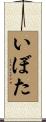 いぼた Scroll