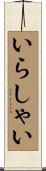いらしゃい Scroll