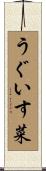 うぐいす菜 Scroll