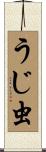 うじ虫 Scroll