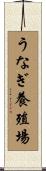 うなぎ養殖場 Scroll