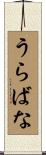 うらばな Scroll