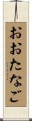 おおたなご Scroll