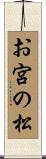 お宮の松 Scroll