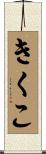 きくこ Scroll