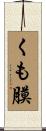 くも膜 Scroll