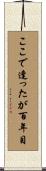 ここで逢ったが百年目 Scroll