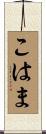 こはま Scroll