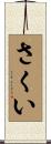 さくい Scroll