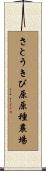 さとうきび原原種農場 Scroll