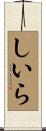 しいら Scroll